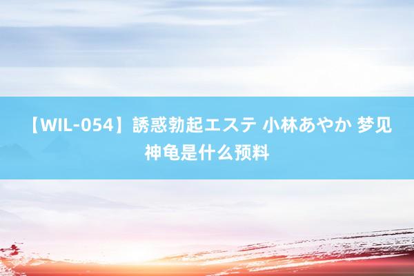 【WIL-054】誘惑勃起エステ 小林あやか 梦见神龟是什么预料