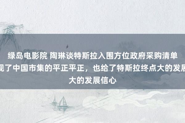 绿岛电影院 陶琳谈特斯拉入围方位政府采购清单：体现了中国市集的平正平正，也给了特斯拉终点大的发展信心