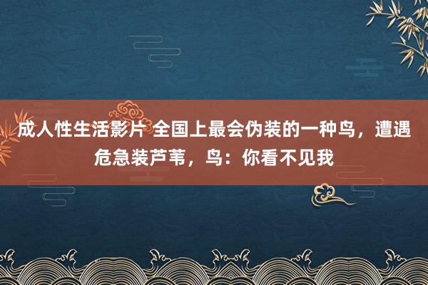 成人性生活影片 全国上最会伪装的一种鸟，遭遇危急装芦苇，鸟：你看不见我