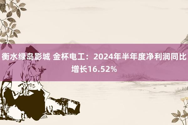 衡水绿岛影城 金杯电工：2024年半年度净利润同比增长16.52%