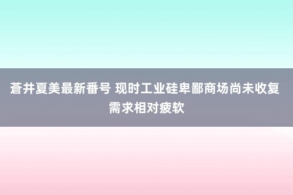 蒼井夏美最新番号 现时工业硅卑鄙商场尚未收复 需求相对疲软