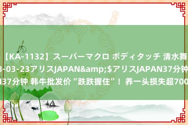 【KA-1132】スーパーマクロ ボディタッチ 清水舞</a>2008-03-23アリスJAPAN&$アリスJAPAN37分钟 韩牛批发价“跌跌握住”！养一头损失超7000元！繁衍户：越养越亏