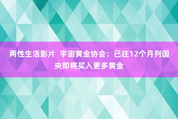 两性生活影片  宇宙黄金协会：已往12个月列国央即将买入更多黄金