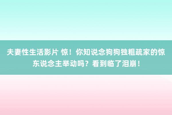 夫妻性生活影片 惊！你知说念狗狗独粗疏家的惊东说念主举动吗？看到临了泪崩！