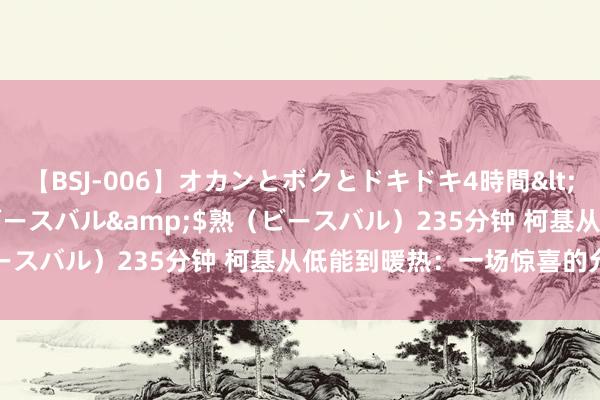 【BSJ-006】オカンとボクとドキドキ4時間</a>2008-04-21ビースバル&$熟（ビースバル）235分钟 柯基从低能到暖热：一场惊喜的允从之旅