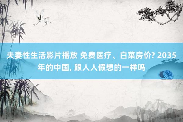 夫妻性生活影片播放 免费医疗、白菜房价? 2035年的中国， 跟人人假想的一样吗