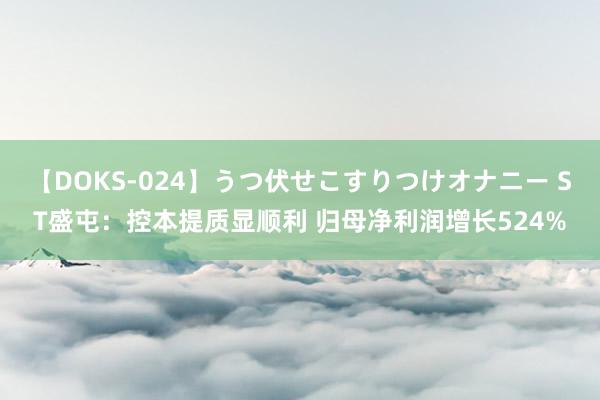 【DOKS-024】うつ伏せこすりつけオナニー ST盛屯：控本提质显顺利 归母净利润增长524%