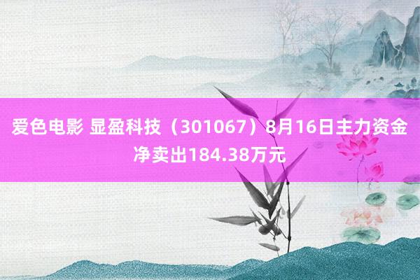 爱色电影 显盈科技（301067）8月16日主力资金净卖出184.38万元