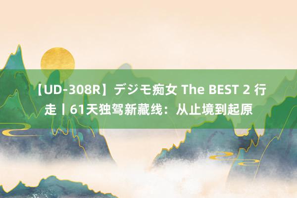 【UD-308R】デジモ痴女 The BEST 2 行走丨61天独驾新藏线：从止境到起原