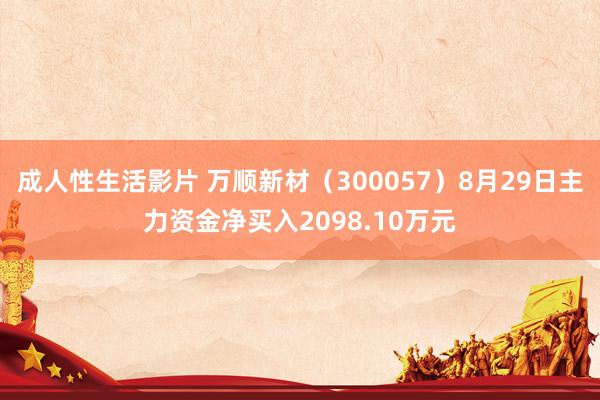 成人性生活影片 万顺新材（300057）8月29日主力资金净买入2098.10万元