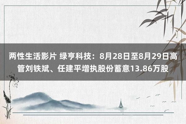 两性生活影片 绿亨科技：8月28日至8月29日高管刘铁斌、任建平增执股份蓄意13.86万股