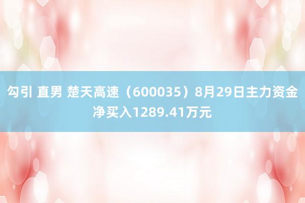 勾引 直男 楚天高速（600035）8月29日主力资金净买入1289.41万元