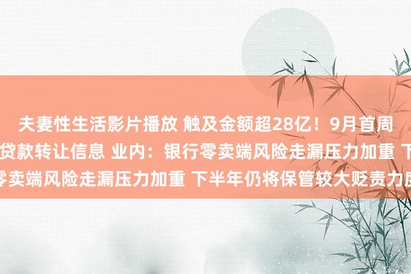 夫妻性生活影片播放 触及金额超28亿！9月首周成就银行连发35条不良贷款转让信息 业内：银行零卖端风险走漏压力加重 下半年仍将保管较大贬责力度