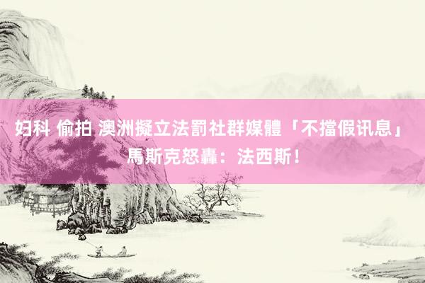 妇科 偷拍 澳洲擬立法罰社群媒體「不擋假讯息」　馬斯克怒轟：法西斯！