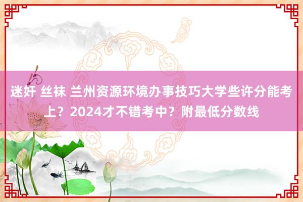 迷奸 丝袜 兰州资源环境办事技巧大学些许分能考上？2024才不错考中？附最低分数线